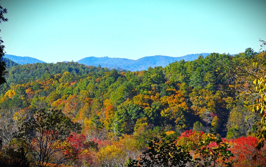 417164 Blue Ridge Residential