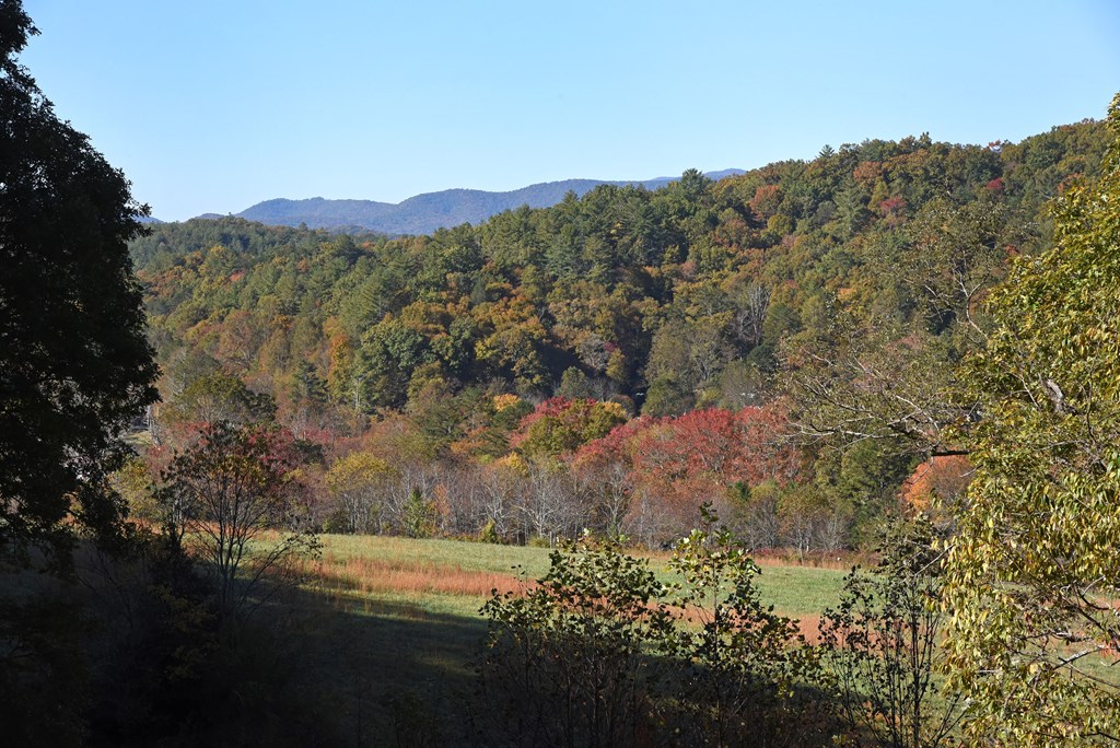 417164 Blue Ridge Residential