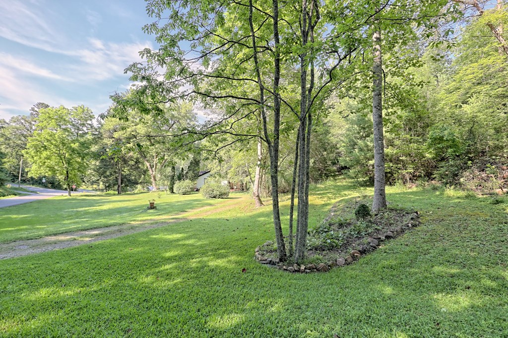 417174 Blue Ridge Residential