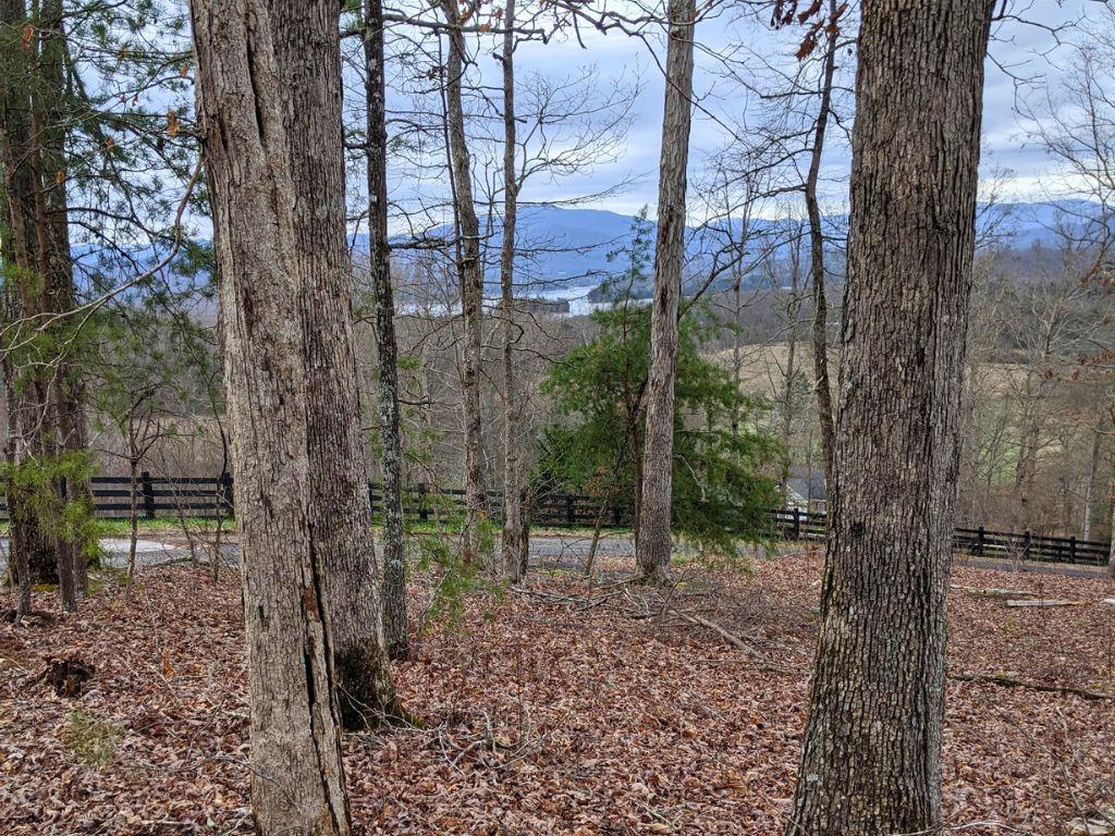 417179 Hayesville 