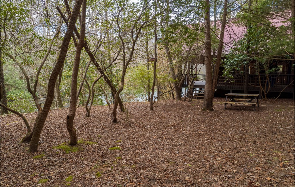 417194 Ellijay Residential