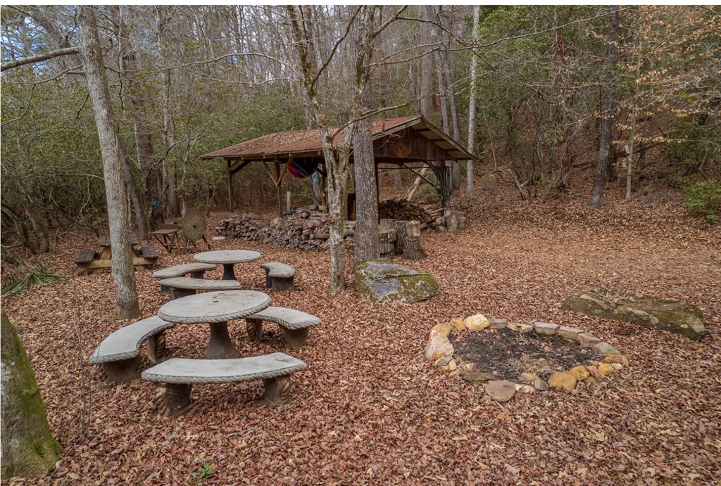 417194 Ellijay Residential