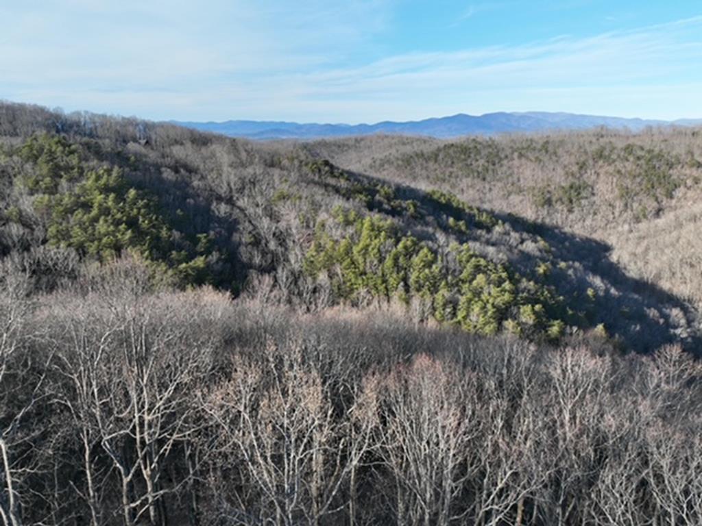 417198 Ellijay 