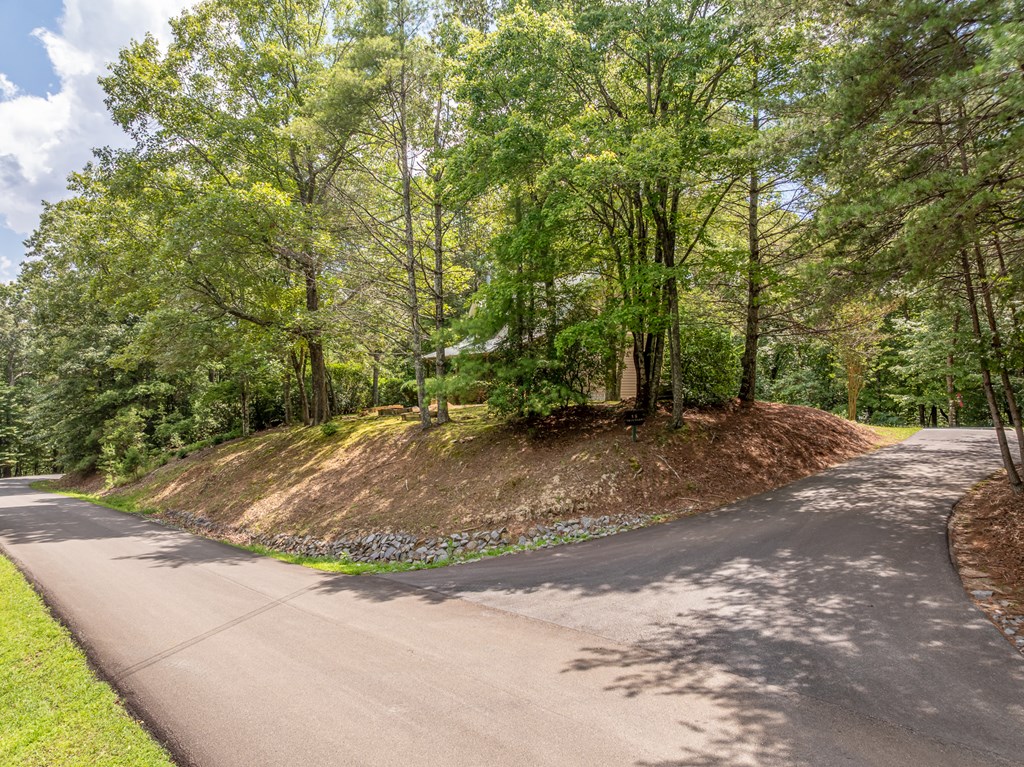 417201 Ellijay Residential