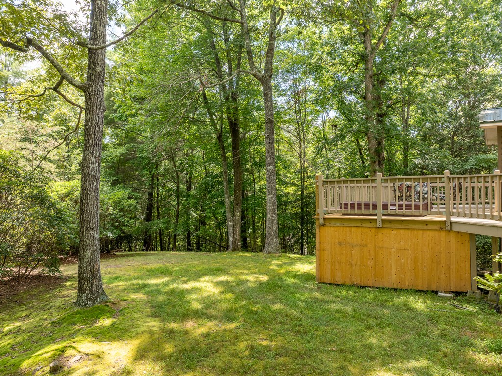 417201 Ellijay Residential