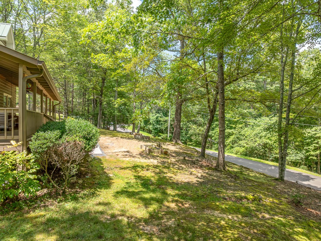 417201 Ellijay Residential