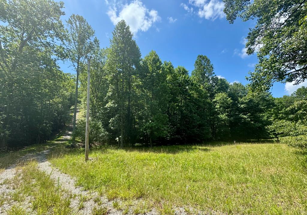 417202 Blairsville 