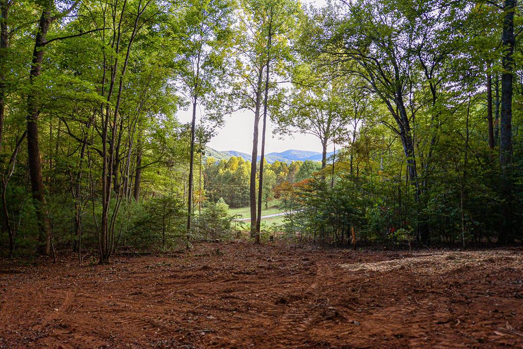 417206 Blue Ridge 