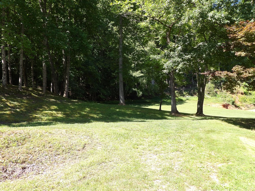 417221 Hiawassee Residential