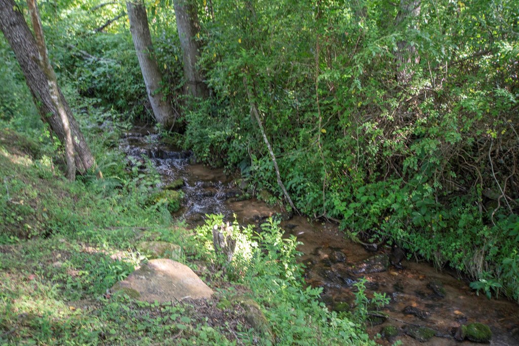 417227 Hayesville Residential