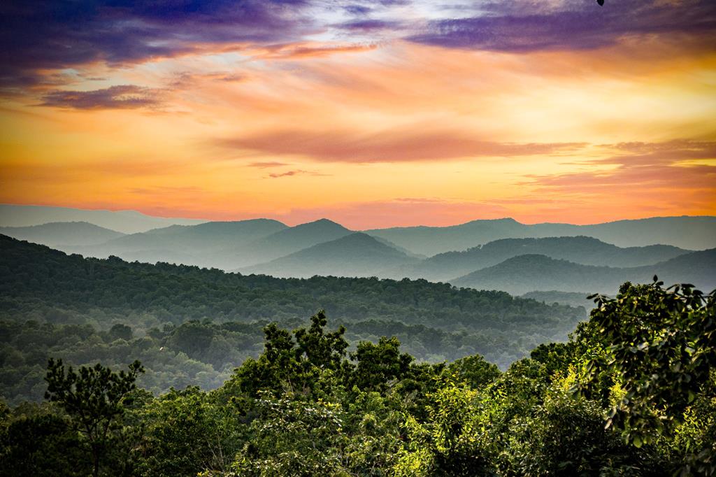 417263 Blue Ridge Residential