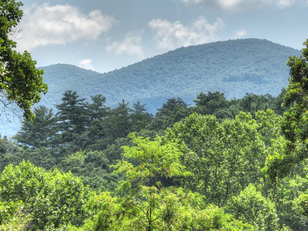 417272 Ellijay 
