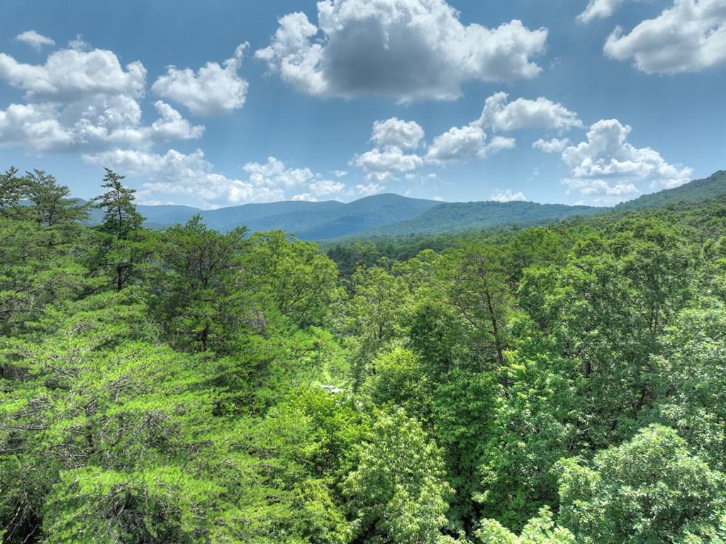 417275 Ellijay 
