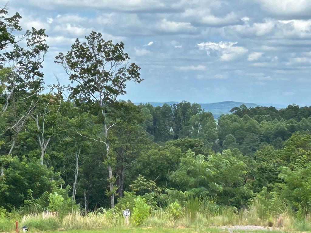 417284 Ellijay 