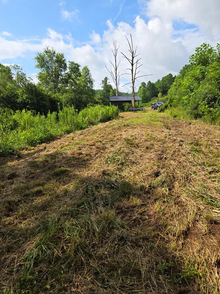 417300 Young Harris Land