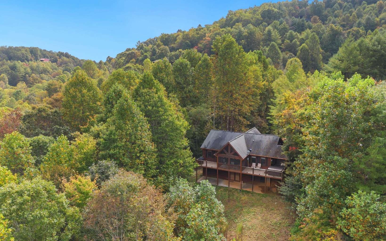 417319 Mineral Bluff 