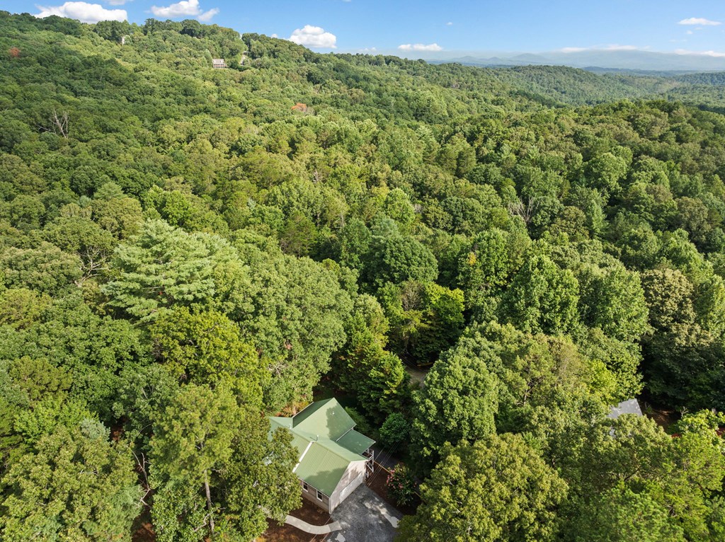 417328 Ellijay Residential