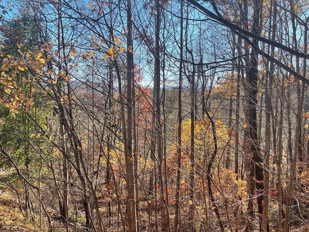 417337 Hayesville 