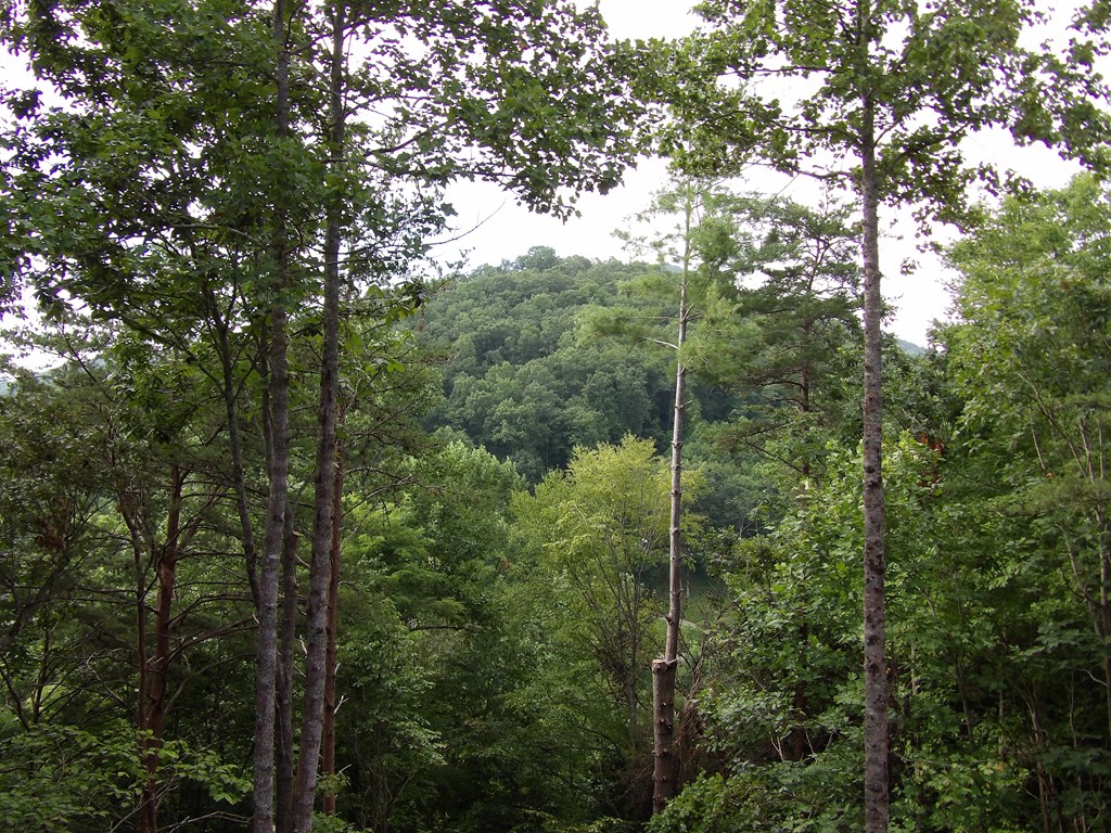 417338 Hiawassee Residential