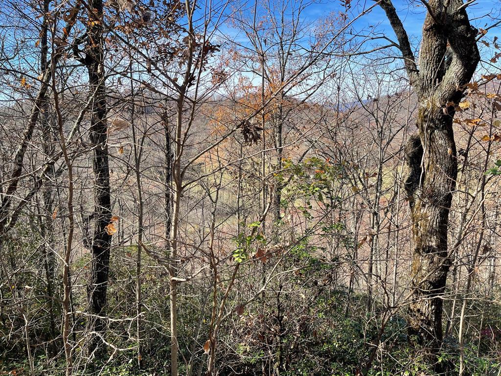 417340 Hayesville 