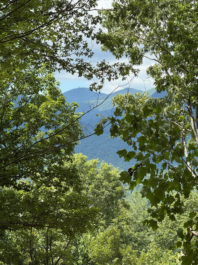 417350 Hiawassee Residential
