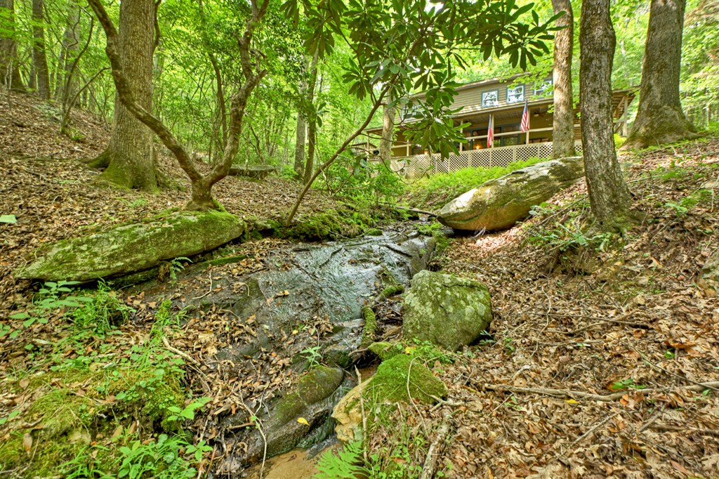 417353 Cherry Log Residential