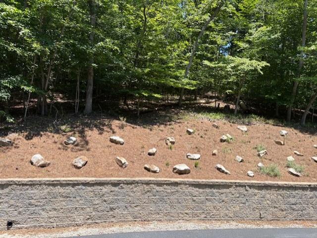 417360 Dahlonega Residential