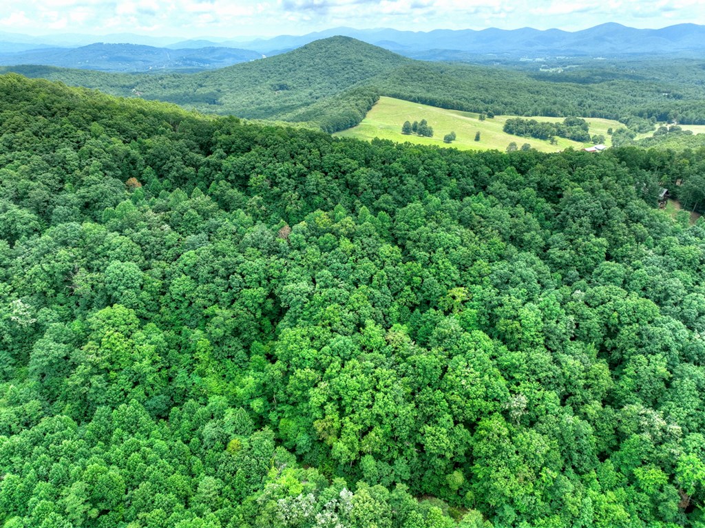 417386 Morganton Land