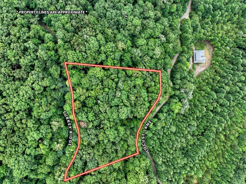 417386 Morganton Land