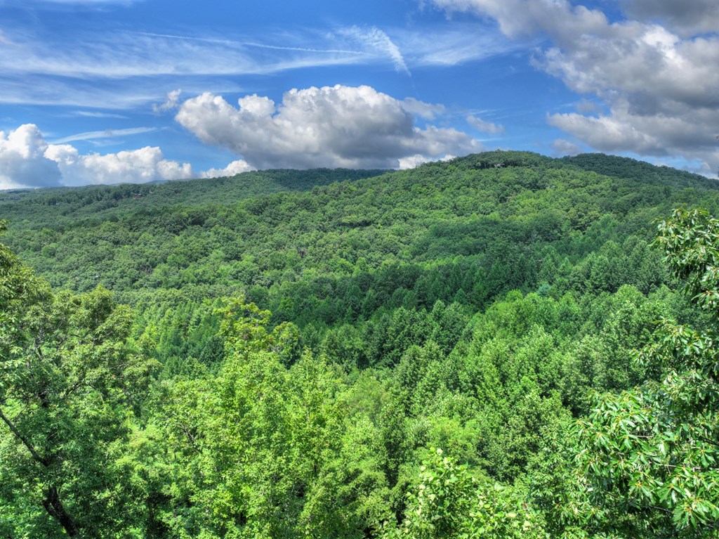 417386 Morganton Land