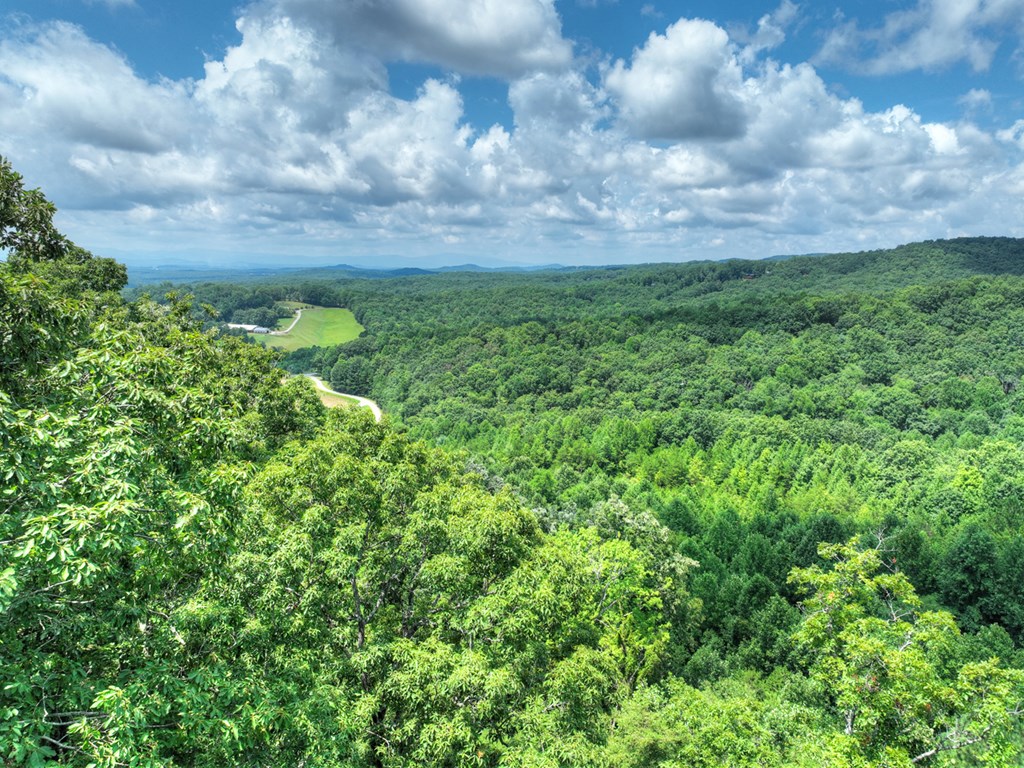 417386 Morganton Land