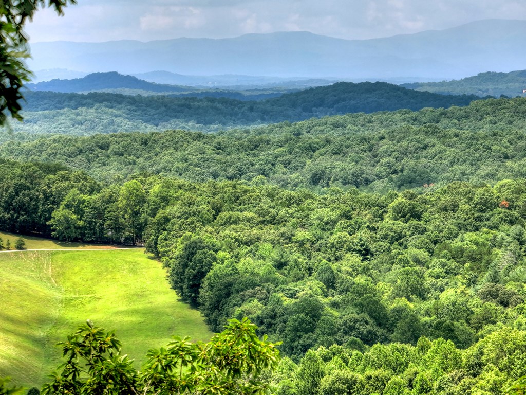 417386 Morganton Land