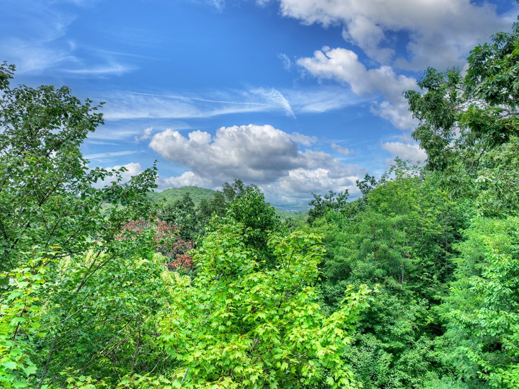 417386 Morganton Land