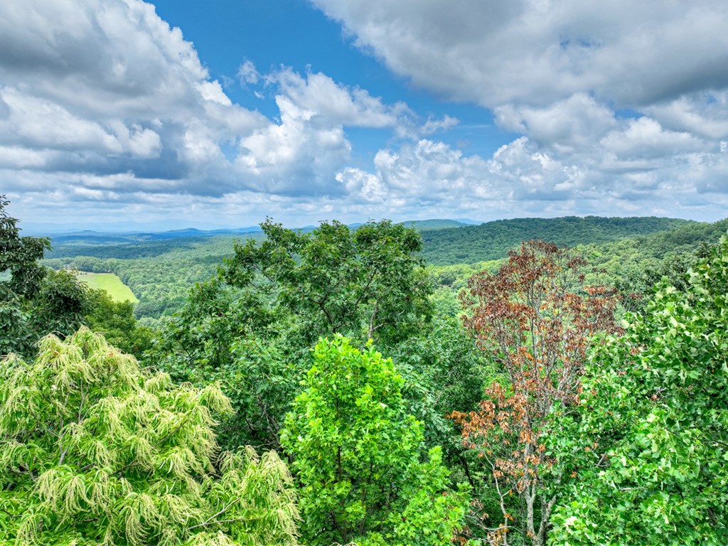 417386 Morganton Land
