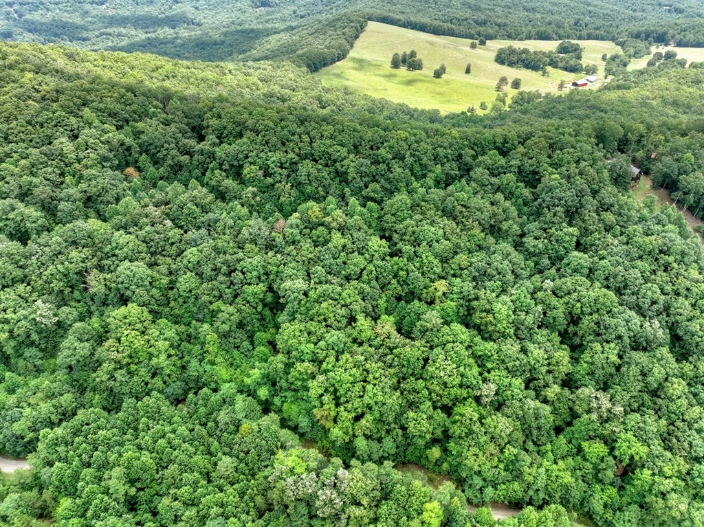 417386 Morganton Land