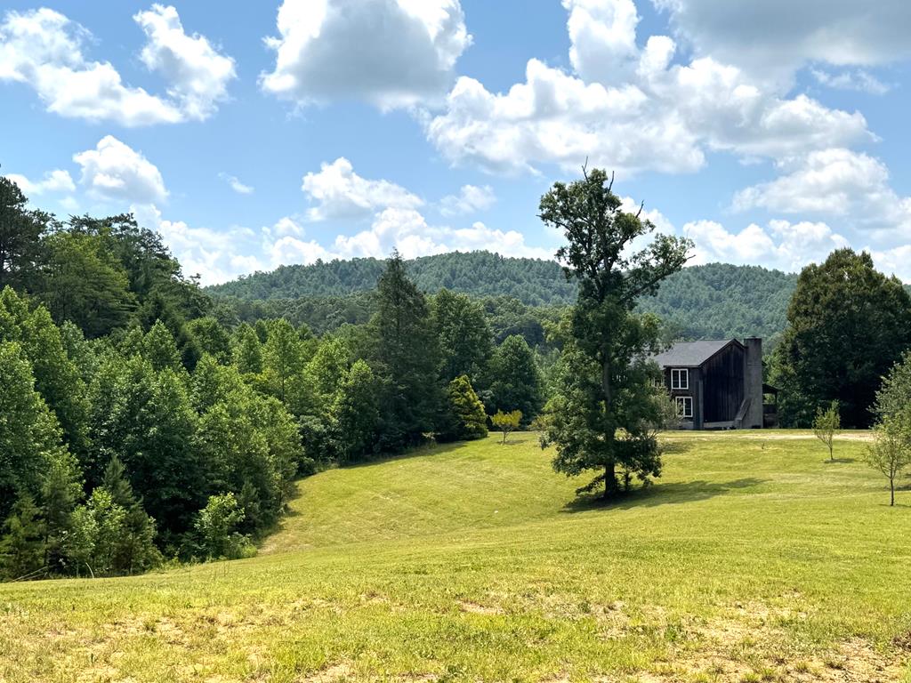 417388 Mineral Bluff 