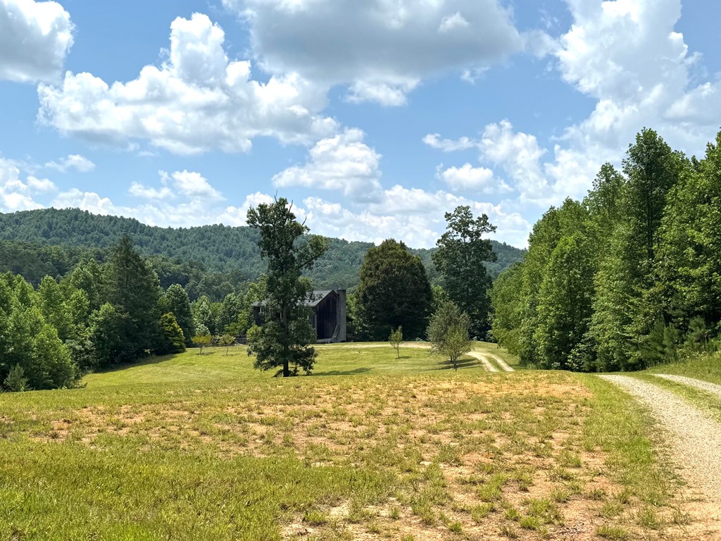 417388 Mineral Bluff Residential
