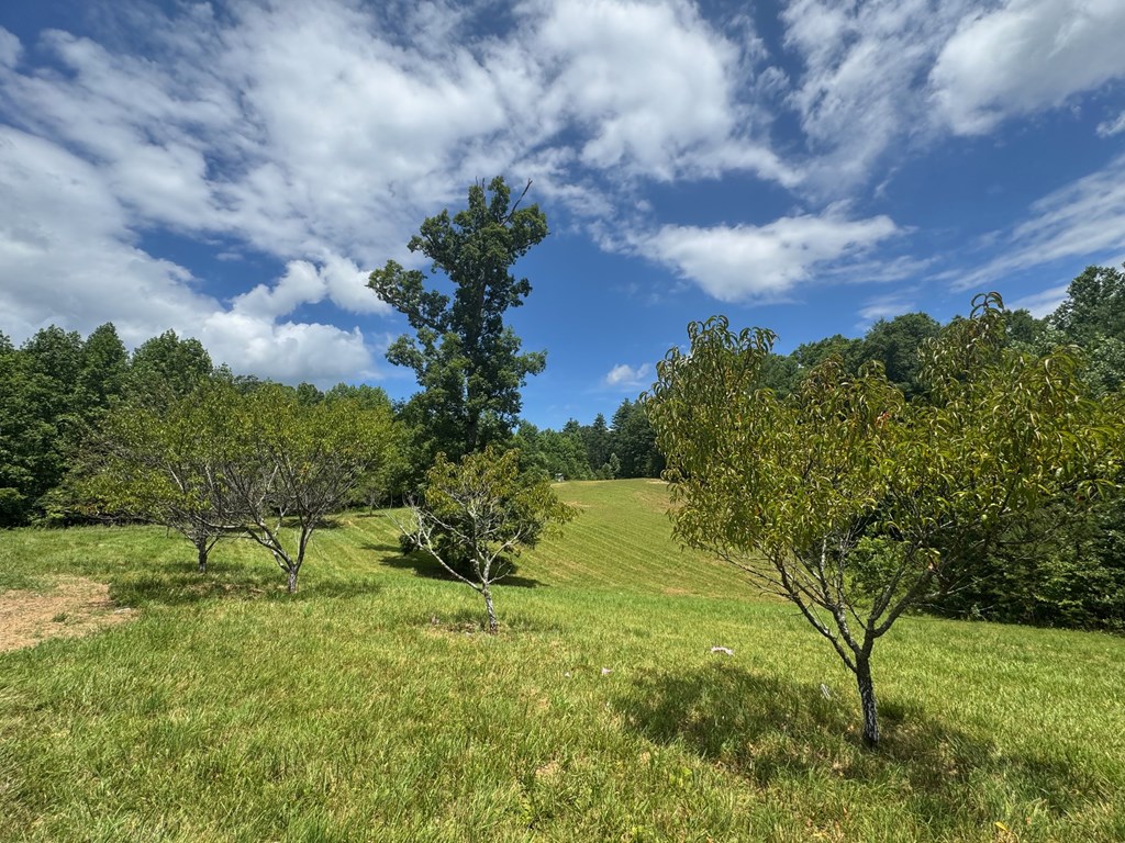 417388 Mineral Bluff Residential