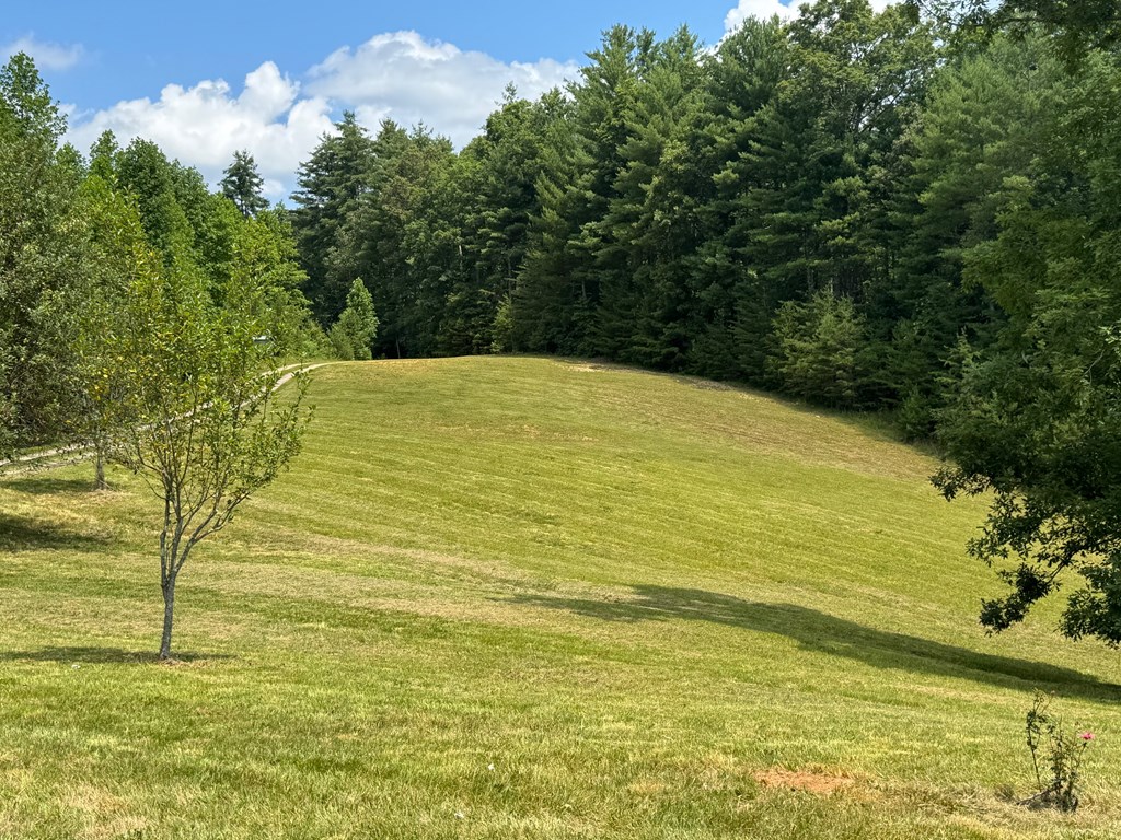417388 Mineral Bluff Residential