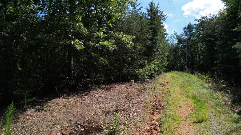417397 Ellijay 