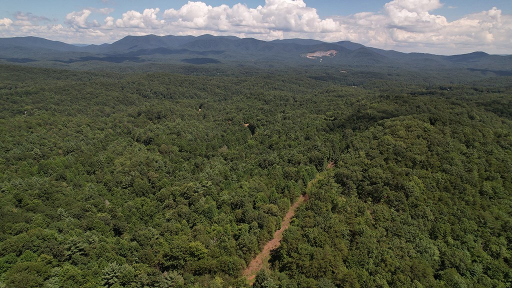 417397 Ellijay Land
