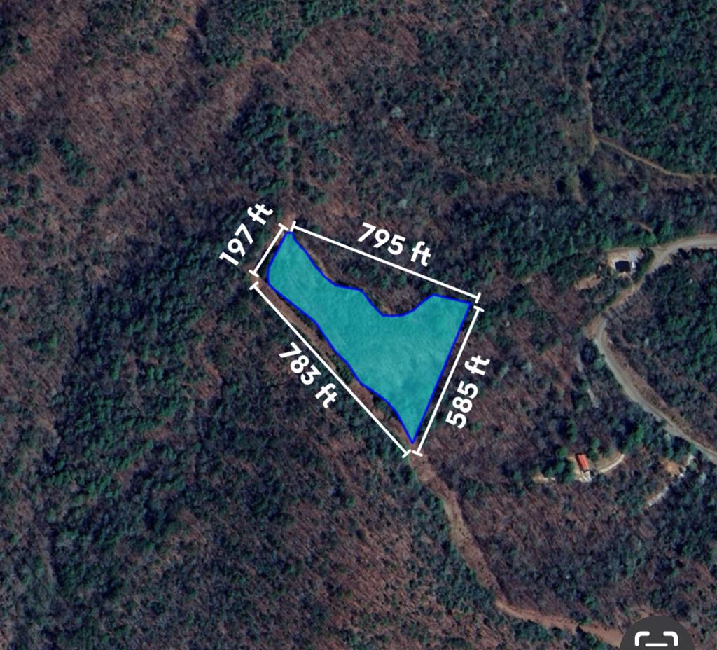 417397 Ellijay Land