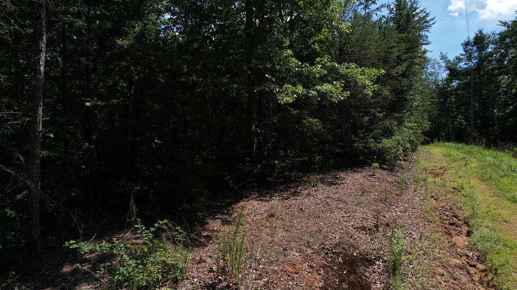 417397 Ellijay Land