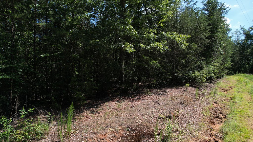 417397 Ellijay Land