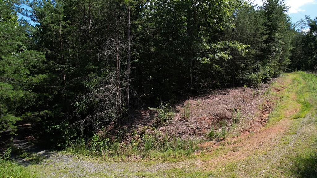 417397 Ellijay Land