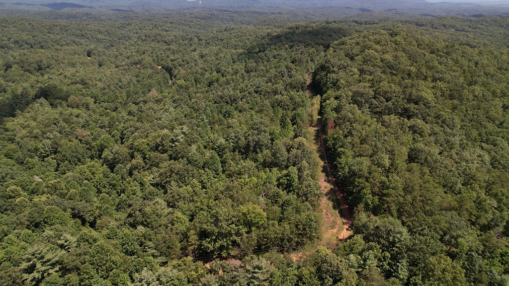 417397 Ellijay Land