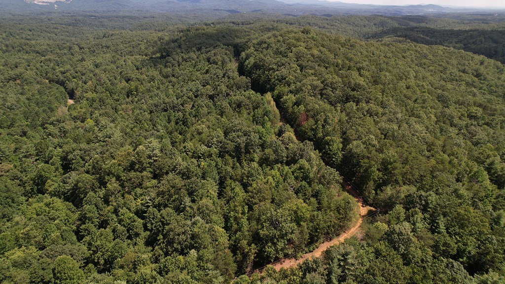 417397 Ellijay Land