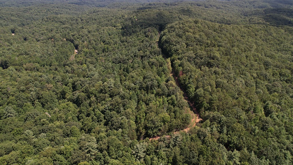 417397 Ellijay Land