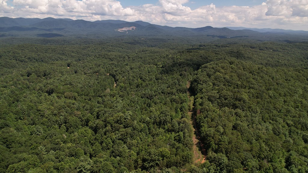 417397 Ellijay Land