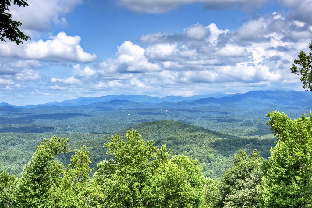 417402 Ellijay Residential